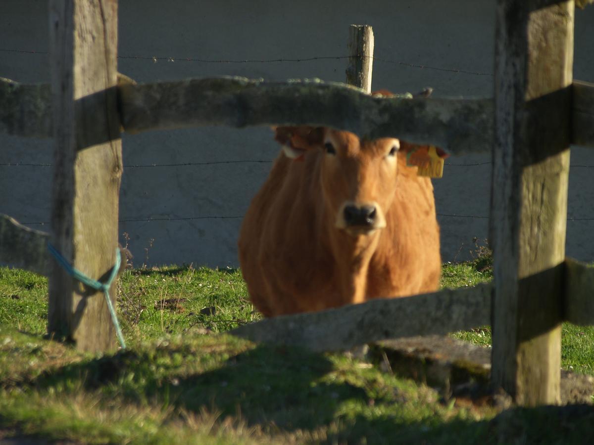 Posada El Pareon Sirviella Zewnętrze zdjęcie