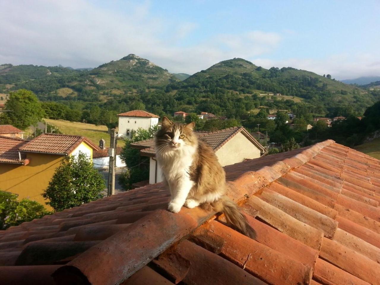 Posada El Pareon Sirviella Zewnętrze zdjęcie